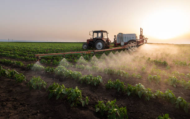 Best Commercial Pest Control Services  in Northgate, OH