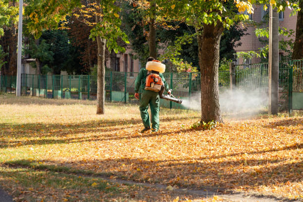 Best Mosquito Control Services  in Northgate, OH