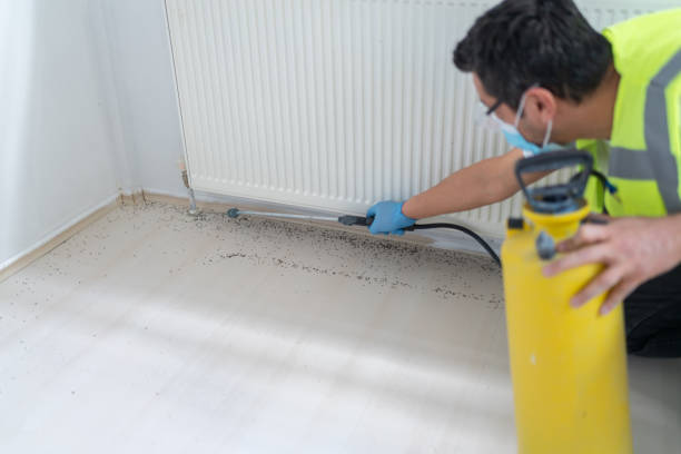 Best Local Pest Control Services  in Northgate, OH