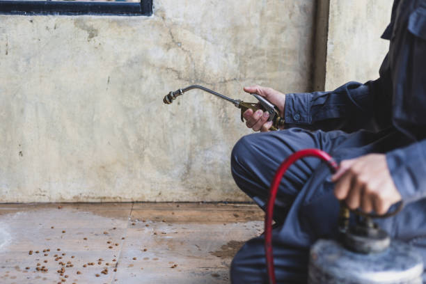 Best Pest Removal Services  in Northgate, OH